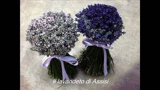 Bouquet sposa bouquet lavanda bouquets matrimonio e addobbi per eventi e cerimonie bouquet sposa [upl. by Konikow418]