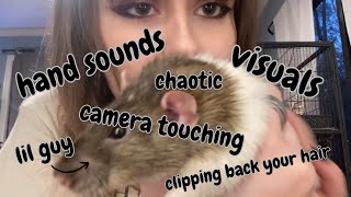 ASMR hand sounds amp visuals fast amp aggressive ft my rat Goose💗⭐️ [upl. by Aidnis147]