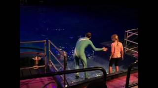 Dolfijnenshow Aqua Bella  Dolfinarium Harderwijk [upl. by Ahsitra860]