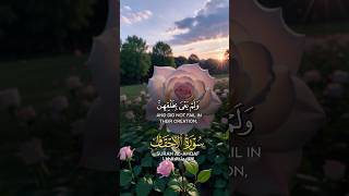 beautiful quran recitation for sleep shorts viralshorts tranding [upl. by Silohcin]