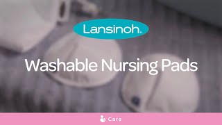 How to use Lansinoh Washable Reusable Nursing Breast Pads [upl. by Lilhak698]