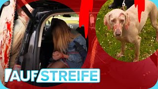 Blutverschmierter Hund Polizisten machen sich auf das SCHLIMMSTE gefasst  Auf Streife  SAT1 [upl. by Notse]