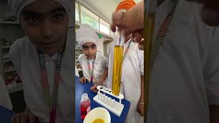 Grade 5 miscible and immiscible liquids [upl. by Nallad416]