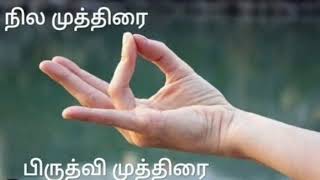 நில முத்திரை  பிருத்வி முத்திரை  பலன்கள் [upl. by Aisha]