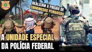 GPI  Tudo sobre o GRUPO DE PRONTA INTERVENÇÃO da PF [upl. by Ibloc548]