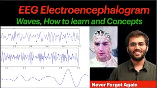 EEG Waves Physiology  Sleep Physiology Epilepsy  Electroencephalogram CNS Physiology Video [upl. by Scammon]