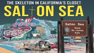 The Salton Sea The Skeleton in Californias Closet [upl. by Natlus813]