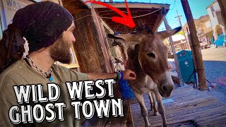 A Western Ghost Town Frozen in Time  The Story of Oatman Arizona [upl. by Nyberg817]