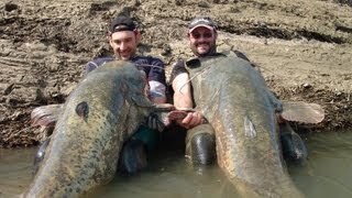 Catfishing Two Monsters Fish Record Over 220 pounds by Catfish World [upl. by Corby]