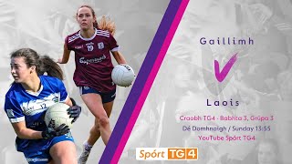 Peil na mBan Beo  Gaillimh v Laois  Craobh TG4 [upl. by Ylera]