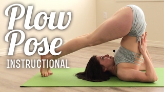 Yoga Instructional  Plow Pose [upl. by Atsillac]