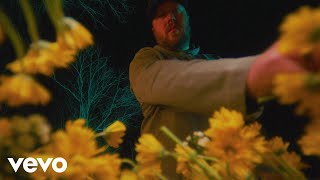 Mitchell Tenpenny  Breaking My Heart Official Music Video [upl. by Htieh599]