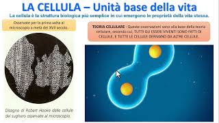 LA CELLULA  Unità base della vita [upl. by Roseann107]