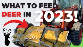 What To Feed Deer In 2023 [upl. by Elrod]