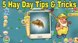 5 Hay Day Tips and Tricks for fishing [upl. by Shimberg]