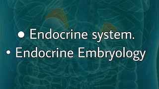 Endocrine Embryology [upl. by Naeroled485]