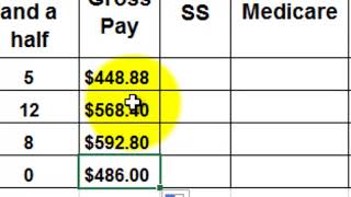 Payroll in Excel [upl. by Yalahs]