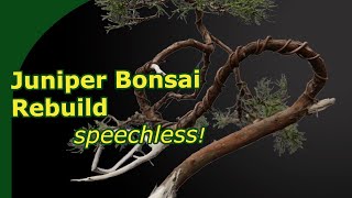 Redesigning a neglected Juniper Bonsai in 7 steps [upl. by Yenhoj]