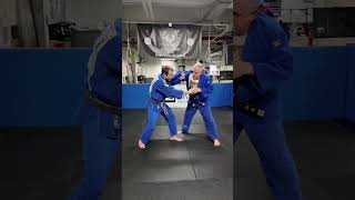 Ippon Seoi Nage Step By Step martialarts judo [upl. by Dnaltiac810]