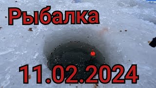 Рыбалка на поплавок 11 февраля 2024 Взгляни в Лицо Своему Страхучтобы Поймать Этих Рыб [upl. by Eceinart437]