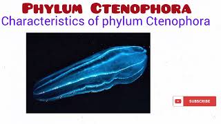 Phylum Ctenophora [upl. by Eeresed623]