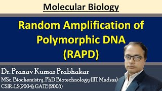 Random amplified polymorphic DNA RAPD [upl. by Juna806]