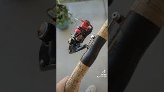 New C3000 Shimano reel [upl. by Soutor]