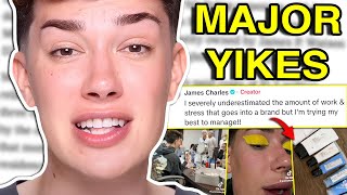 JAMES CHARLES BRAND IN TROUBLE lab drama [upl. by Snowman]