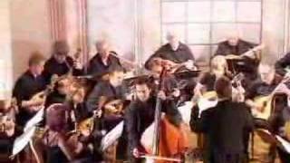 CanCan by Jaques Offenbach for Mandolin Orchestra [upl. by Lexis]