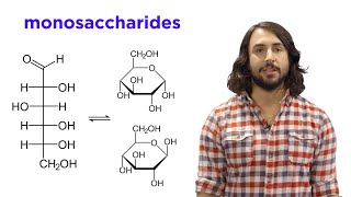 Carbohydrates Part 1 Simple Sugars and Fischer Projections [upl. by Senilec]