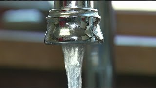 Westfield not the only city dealing with water contamination issues [upl. by Aliuqahs]