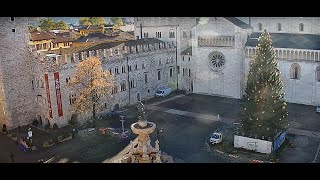 Trento live cam  centro città Piazza Duomo [upl. by Grimaud]