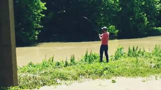 Snagging Chinese carp in tyronza River [upl. by Aseefan]