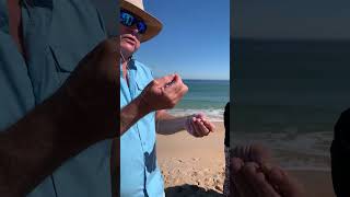 Ladies Lets Go Fishing How to hook a sand flea for surf fishing [upl. by Llezom]