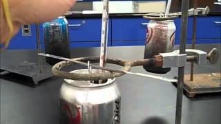 🔥 Food Calorimetry Experiment  Mr Pauller [upl. by Rbma]