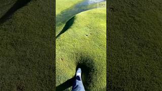 Walking on Spongy Grass Waterlogged Ground Reaction [upl. by Eiznil]