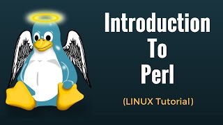 Introduction to Perl  Perl Tutorial for Beginners [upl. by Ailis589]