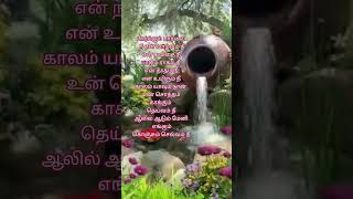 Paarkum paarvai♥️♥️ music tamilsongwhatsappstatus love trendingoldisgoldreels lyricsspb80s [upl. by Oigufer]