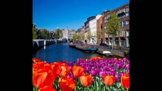 Hotel Tulip Inn Amsterdam Riverside in Amsterdam Nordholland  Niederlande Bewertung und [upl. by Gillett]