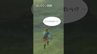 blssゲーム ゼルダの伝説 ネタ [upl. by Anorahs]