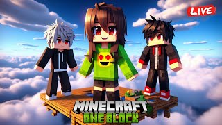 Playing In Minecraft ONE BLOCK With Friends  Tdg [upl. by Ecitnerp]