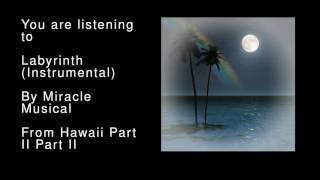 08 Labyrinth Instrumental  Hawaii Part II Part II [upl. by Dailey903]