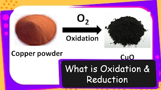 Science – Oxidation and Reduction Redox Reaction – Chemical Reaction Types Part 6 – English [upl. by Gnaoh]