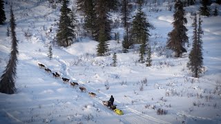 Inside the 51st Iditarod The meaning behind the ‘Last Great Race on Earth’ [upl. by Aisaim359]