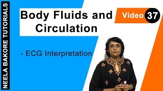 Body Fluids and Circulation  NEET  ECG Interpretation  Neela Bakore Tutorials [upl. by Aamsa]