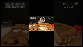 Lotusチーズケーキ‼️shorts asmr 咀嚼音 大食い soasmr eatingsounds asmrsounds [upl. by Miche]