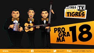 Programa 18  Mujer celosa  Los Tres Tristes Tigres TV [upl. by Tucker803]