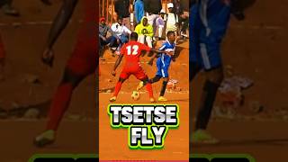 TSTSTSTsetse Fly  Aviator kasifootball youtubechamps [upl. by Cadmann]