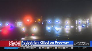 SigAlert issued for 405 Freeway after pedestrian killed while running across lanes [upl. by Elraet]