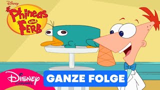 Chez Schnabeltier  Ganze Folge  Phineas und Ferb [upl. by Bolling]